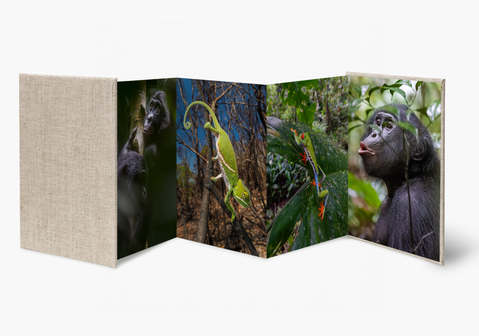 Tropische Landschaften - Wandkalender 45x30