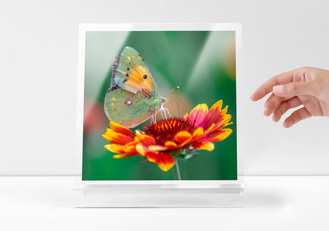 Akrylový displej 20 x 20od 42,99 € 25,79 €*