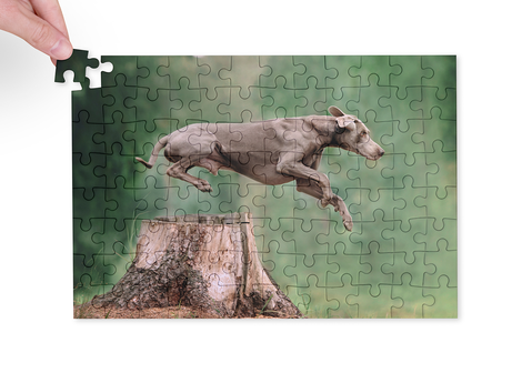 Puzzle 19 x 28, 96 dielikovod 13,99 € 8,39 €*