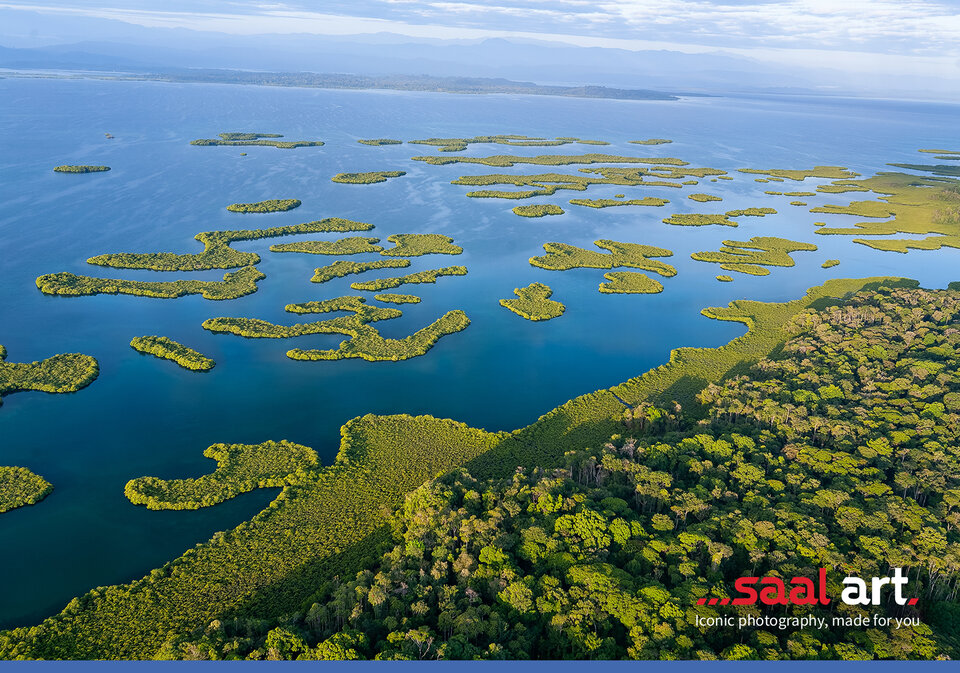 Christian Ziegler su Saal Art