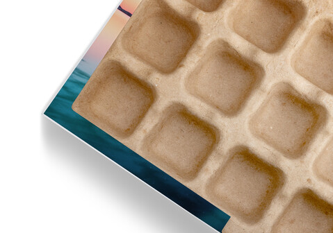 Candy Box Empty for self-fillingfrom $20.00 $13.98*