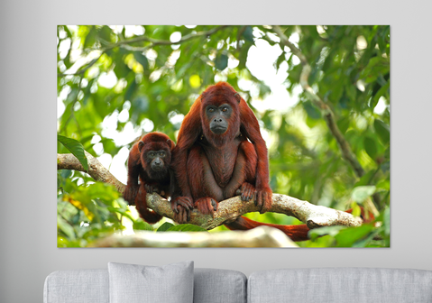 Tropische Landschaften - Wandkalender 45x30