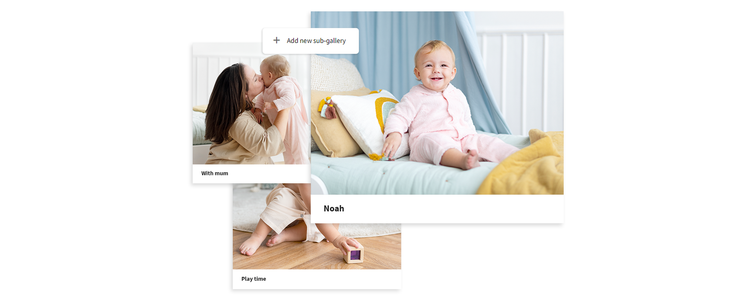 Hole das Beste aus deinen Galerien heraus