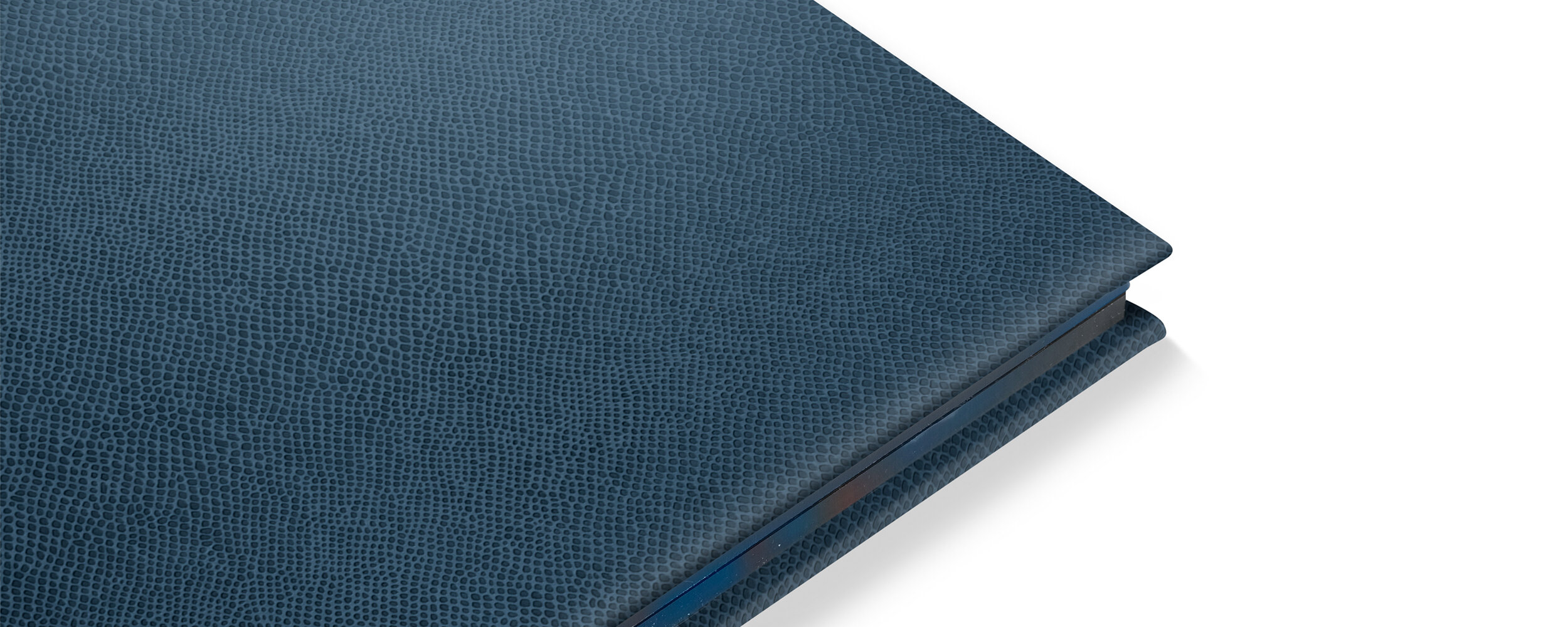 snake leatherette blue