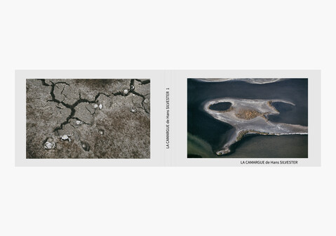 Adlerjäger, Mongolei - Wandbild