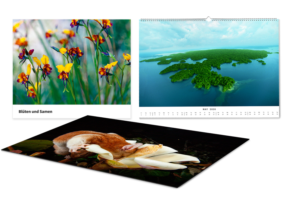 Entdecke Christian Zieglers Galerien auf Saal Art