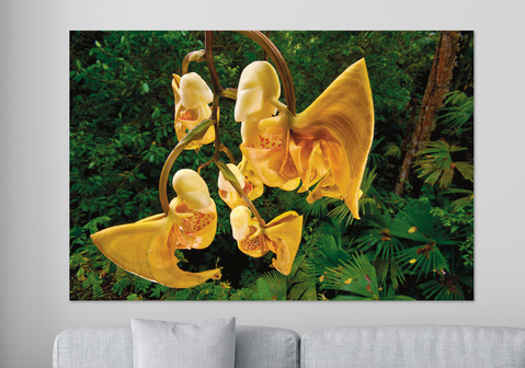 Tropische Landschaften - Wandkalender 45x30