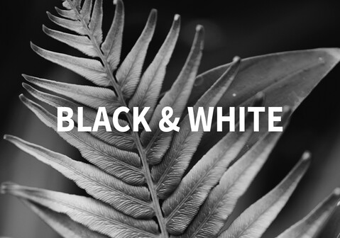 Noir et blanc