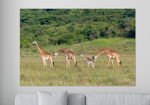 Tropische Landschaften - Wandkalender 45x30