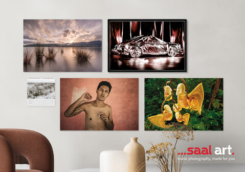 Iepazīstinām ar Saal Art