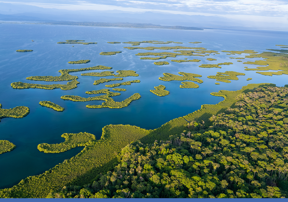 Christian Ziegler auf Saal Art