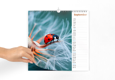 Kalender 30 x 20