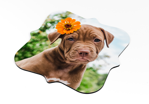 Bases de copo elegantedesde 9,99 € 5,99 €*