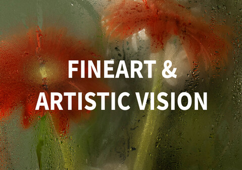 FineArt et vision artistique