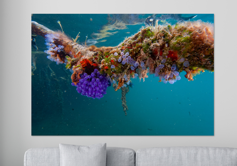 Tropische Landschaften - Wandkalender 45x30