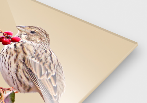 Quadro em acrílicodesde 14,99 € 10,49 €*