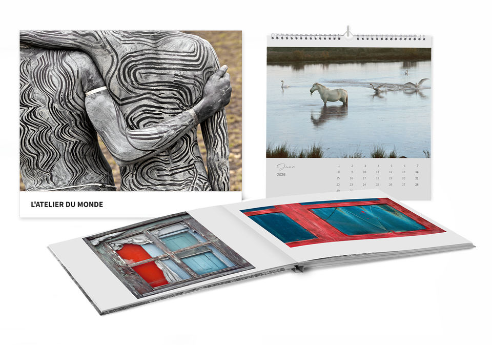 Разгледайте галериите на Ханс Силвестър в Saal Art