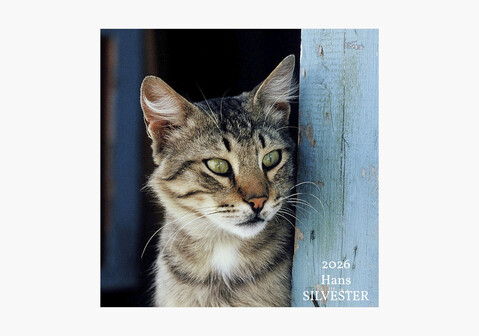 CALENDRIER CHATS 2026Wall calendar 30 x 30